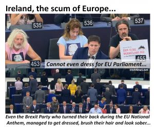 Irish MEPs